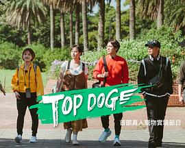 91影视《TOP DOG》免费在线观看