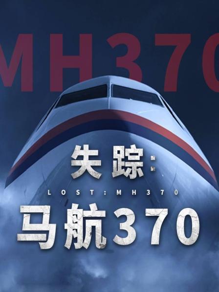 91小黄车《失踪：马航370》免费在线观看