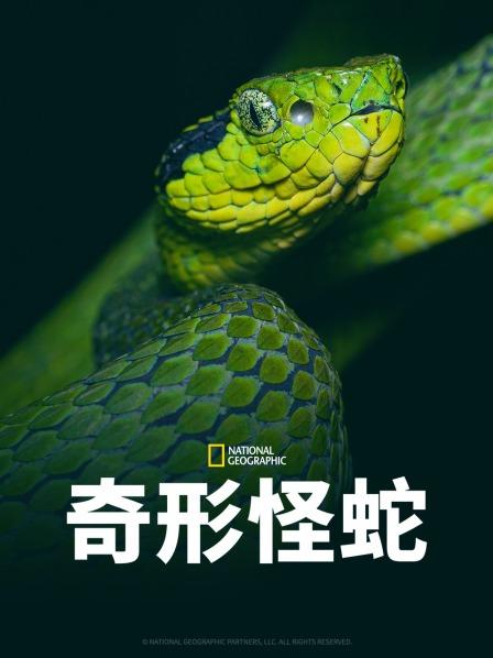 91快活林《奇形怪蛇》免费在线观看